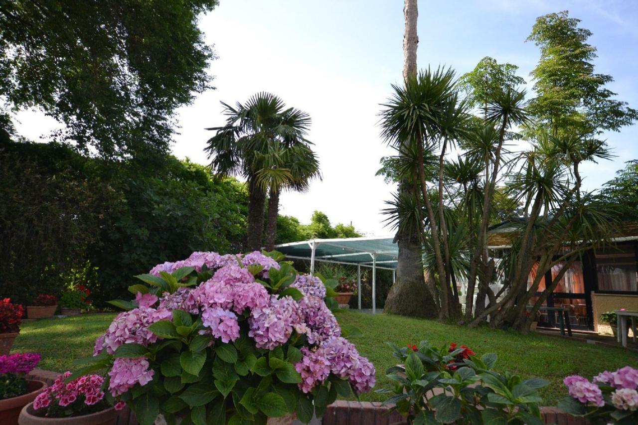 Il Piccolo Nido Bed & Breakfast Borgo Montenero Luaran gambar
