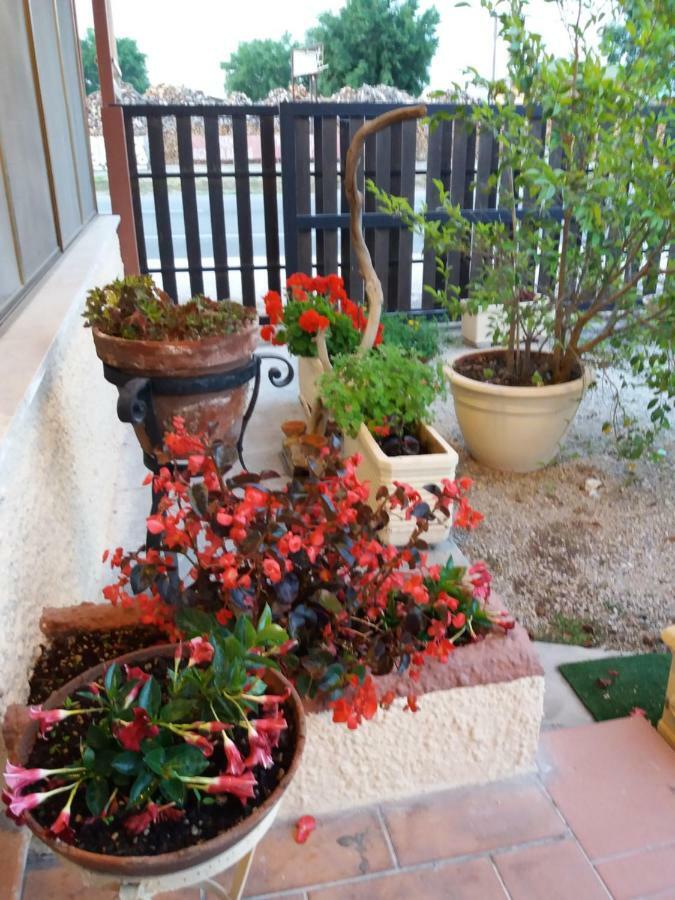 Il Piccolo Nido Bed & Breakfast Borgo Montenero Luaran gambar